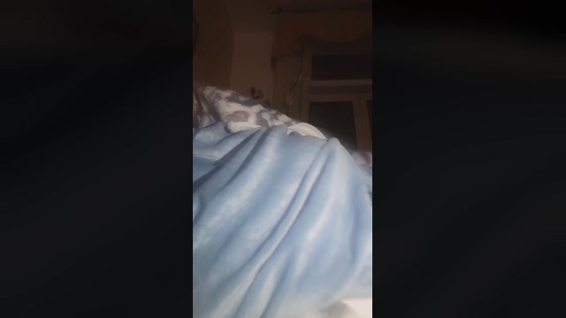 martinabigst  03-04-2022